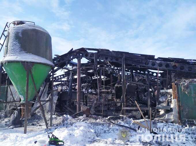 Под Черниговом в крупном пожаре заживо сгорели больше двух сотен свиней