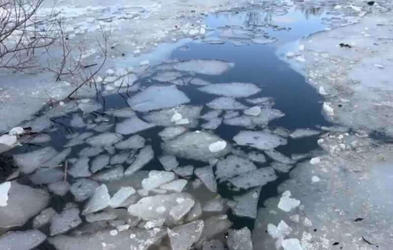 В Петербурге на глазах у десятков людей рыбак провалился под лёд