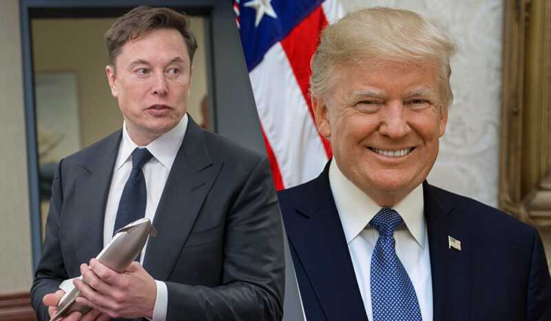 Трамп описал Маска как «заядлого наркомана»