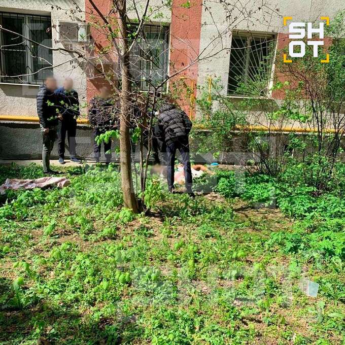Сергей Новиков – кремлевский смотрящий за артистами uriqzeiqqiuhkmp qhtiddziqzqikvls
